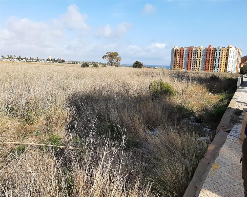 DIPUTACION DEL RINCON DE SAN GINES