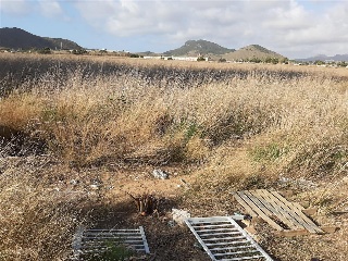 DIPUTACION DEL RINCON DE SAN GINES 2