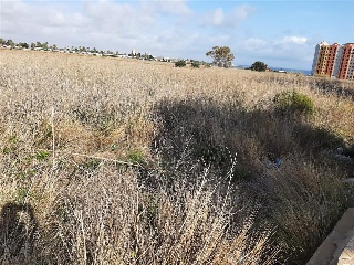 DIPUTACION DEL RINCON DE SAN GINES 3