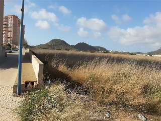 DIPUTACION DEL RINCON DE SAN GINES 4