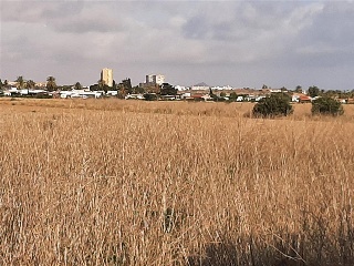 DIPUTACION DEL RINCON DE SAN GINES 5