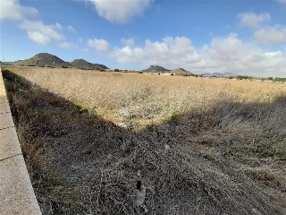 DIPUTACION DEL RINCON DE SAN GINES 6