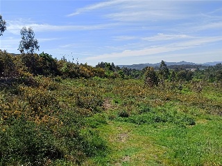 Otros en venta en Ames