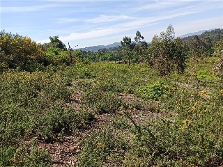 S16 GALDRACHAN. PARCELA AR18-1 3