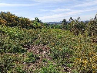 S16 GALDRACHAN. PARCELA AR18-1 4