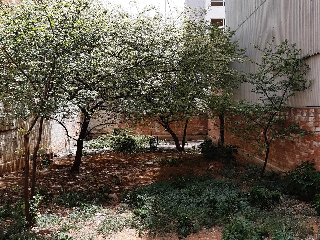 TANCAT DE LA PLANA 3