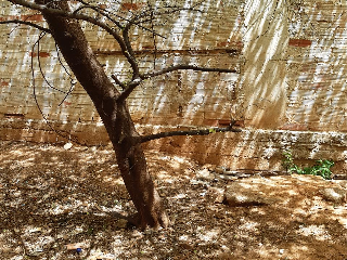 TANCAT DE LA PLANA 7