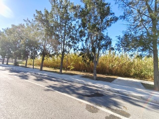 Goleta 4