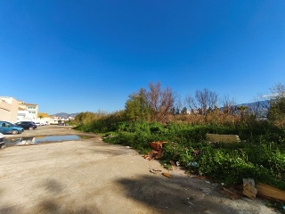 Goleta 8
