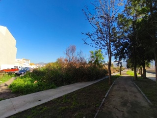 Goleta 13