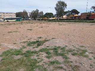 PARAJE DE LA CORTIJADA DE LAS ESTRELLAS 2