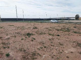 PARAJE DE LA CORTIJADA DE LAS ESTRELLAS 3