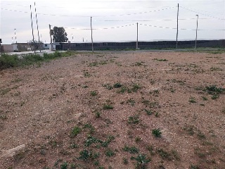 PARAJE DE LA CORTIJADA DE LAS ESTRELLAS 4