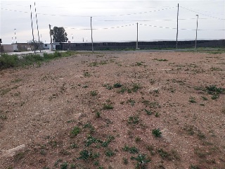 PARAJE DE LA CORTIJADA DE LAS ESTRELLAS 7