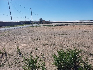 PARAJE DE LA CORTIJADA DE LAS ESTRELLAS 8