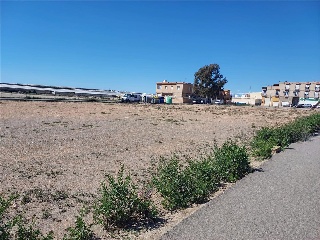 PARAJE DE LA CORTIJADA DE LAS ESTRELLAS 10