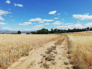 Otros en venta en Algete