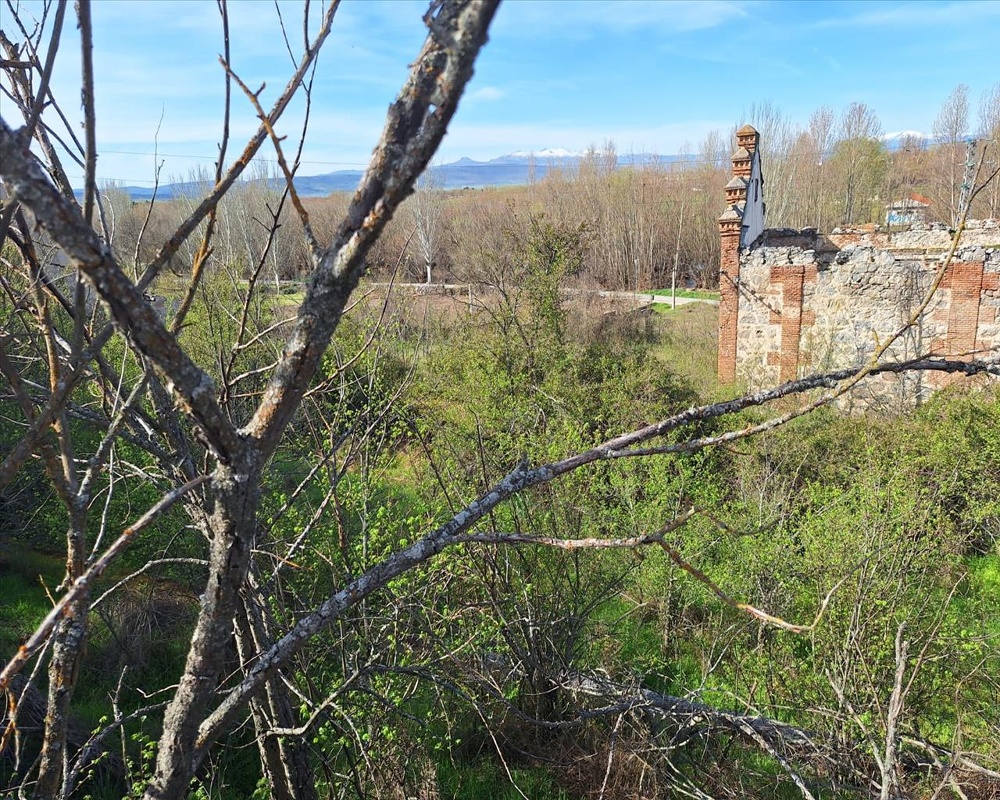 CARRETERA BURGOHONDO