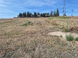 SECTOR 14 DEL PGOU 6