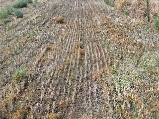 SECTOR 14 DEL PGOU 7