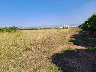 Pisos banco Chilches/Xilxes