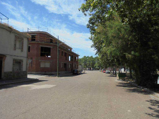 PAREDON 5