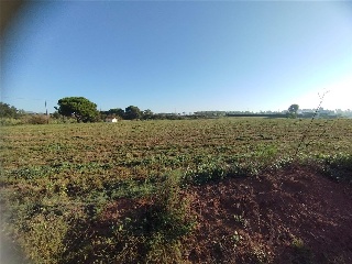 DESARROLLO INDUSTRIAL 7