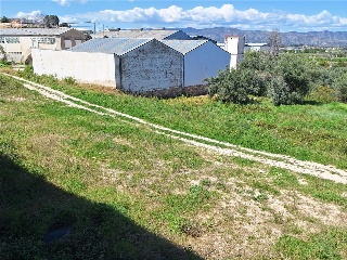 CAMI DE L'ESTACIO 6