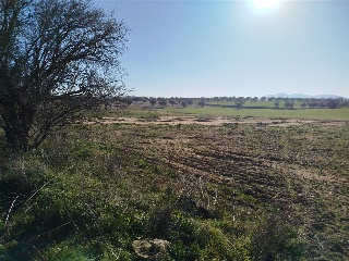 PAGO DE LOS ADOBES Y PE?A DEL CONDE 10
