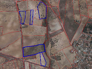 PAGO DE LOS ADOBES Y PE?A DEL CONDE 12