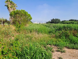 Pisos banco Chilches/Xilxes