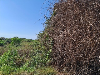 POLÍGONO 3 2