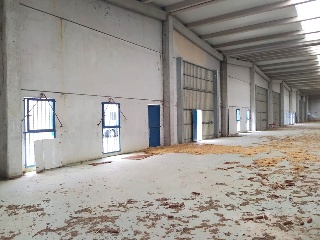 Extrarradio 8 Bioetanol 2