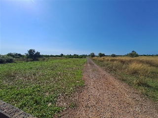 Pisos banco Chilches/Xilxes