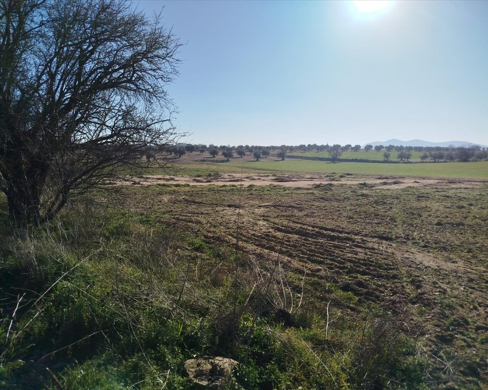 PARAJE DE LOS ADOBES