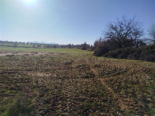 PARAJE DE LOS ADOBES 2