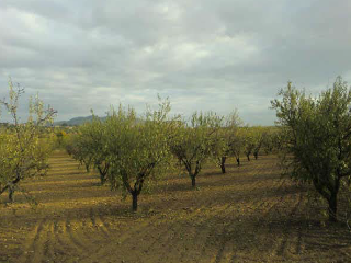 PARAJE DE LOS ADOBES 5