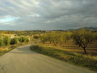 PARAJE DE LOS ADOBES 6