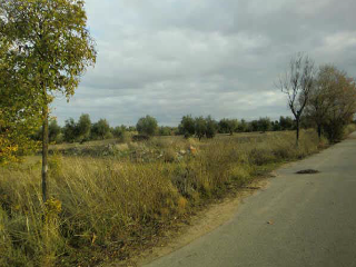 PARAJE DE LOS ADOBES 7