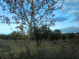 PARAJE DE LOS ADOBES 8