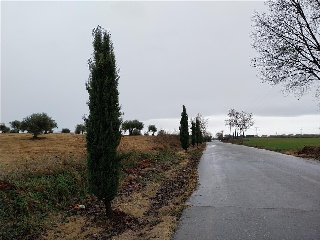 PARAJE DE LOS ADOBES 11