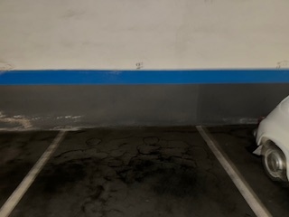 RAFAEL MARTINEZ VALLES 10