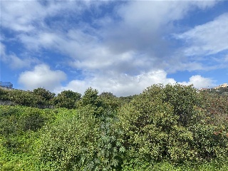 UA-A-LOS PORTALES 11