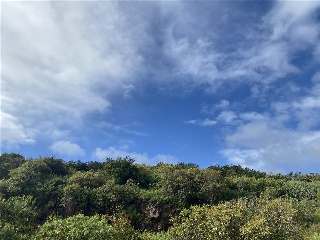 UA-A-LOS PORTALES 12