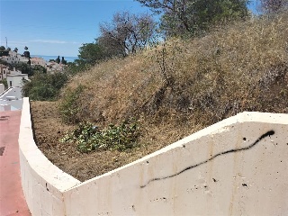 PARCELA 4-2 EN EL PAGO FUENTE DEL BADEN 5