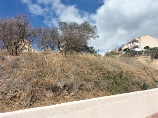 PARCELA 4-2 EN EL PAGO FUENTE DEL BADEN 7