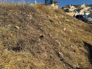 PARCELA 4-2 EN EL PAGO FUENTE DEL BADEN 8