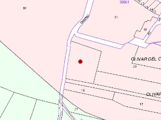 OLIVAR DEL CUADRO 10