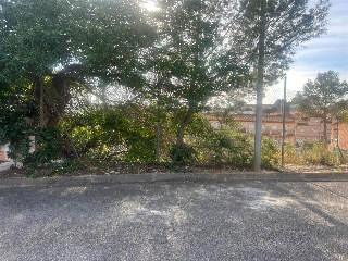 Pisos banco Pobla de Montornès (La)