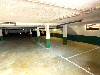 PRELLEZO 7